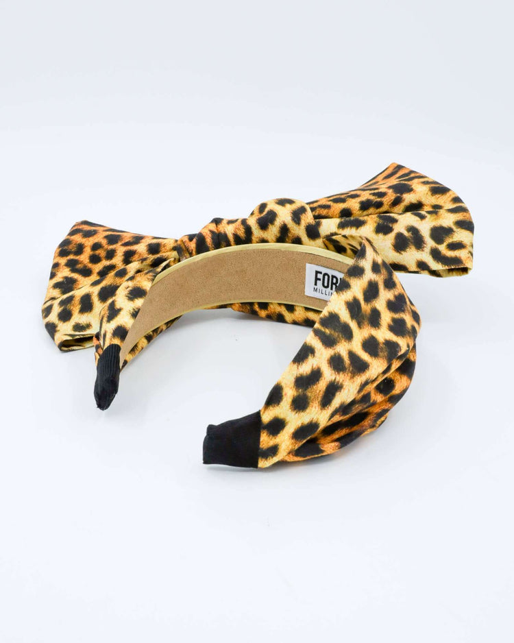 PALOMA (giraffe)