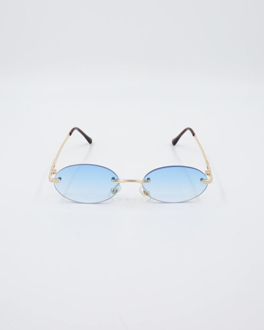 ORACLE sunglasses (blue)